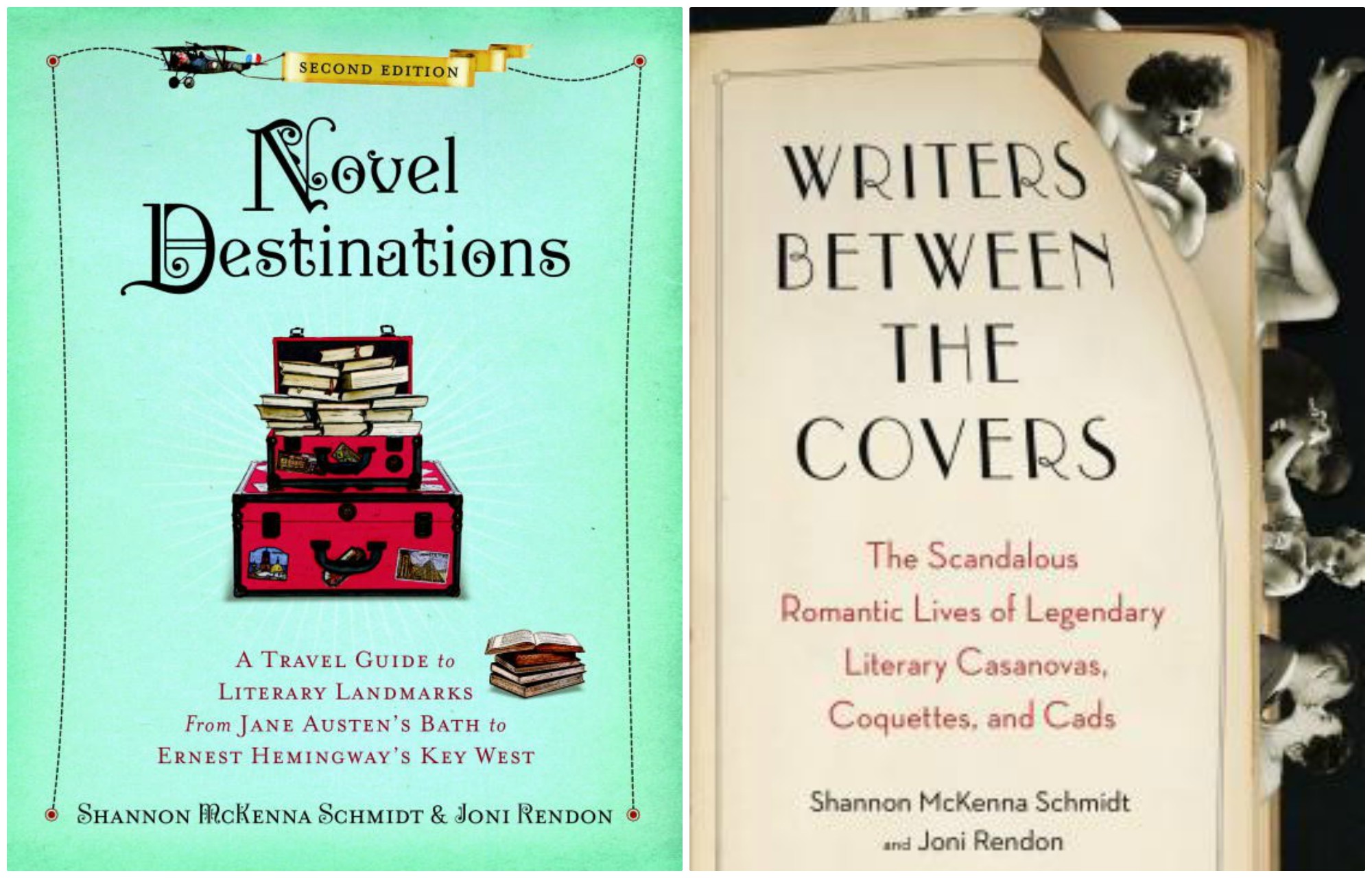 ipiccy novel writers